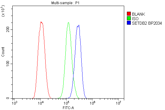 a08290 2 setdb2 primary antibodies fc testing 2
