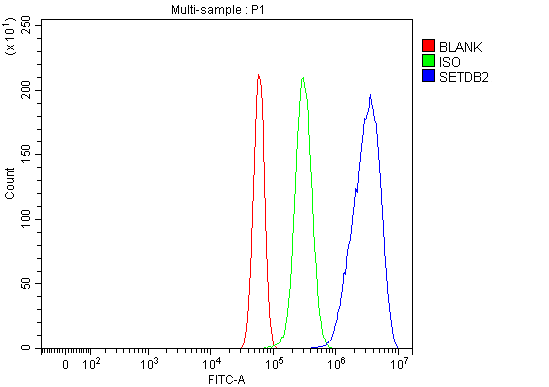  Flow Cytometry analysis of RH35 cells using anti-CLLD8/Setdb2 antibody (A08290-3)
