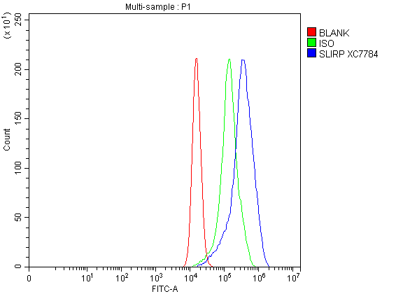 a08297 1 slirp primary antibodies fcm testing 1