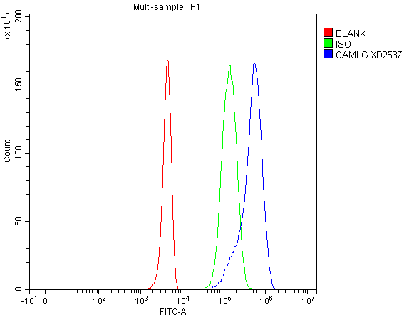 a08322 2 camlg primary antibodies fcm testing 1