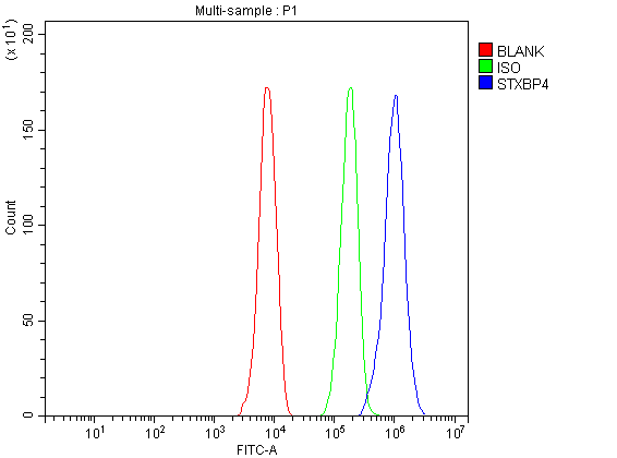 a08343 1 stxbp4 primary antibodies fcm testing 1