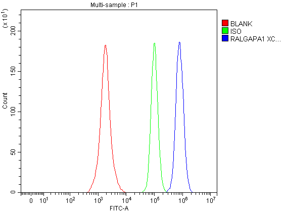 a08369 1 garnl1 ralgapa1 primary antibodies fcm testing 2
