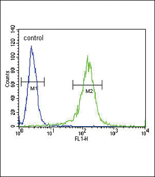 RDH10 Antibody (Center) (Cat