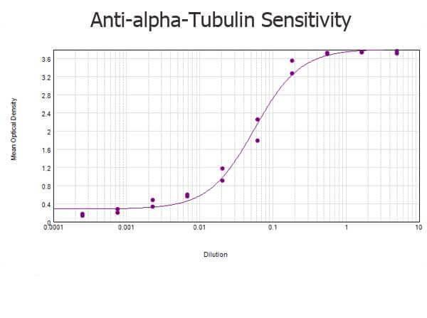 ELISA results of purified Rabbit anti-alpha-Tubulin Antibody tested against BSA-conjugated peptide of immunizing peptide