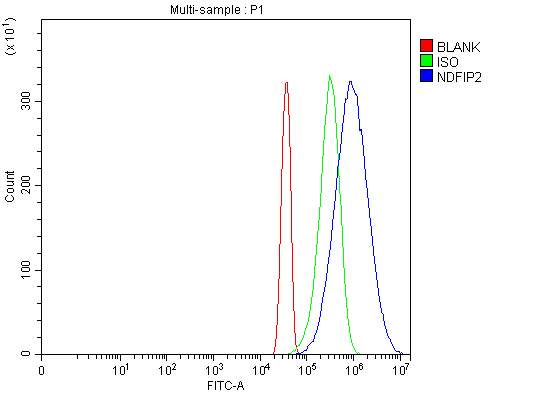  Flow Cytometry analysis of Hela cells using anti-NDFIP2 antibody (A08384-1)