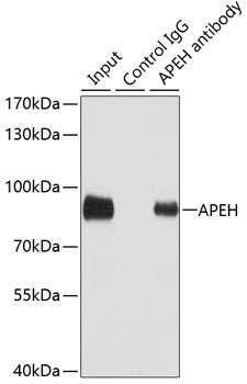 a08394 apeh primary antiboties ip testing 3