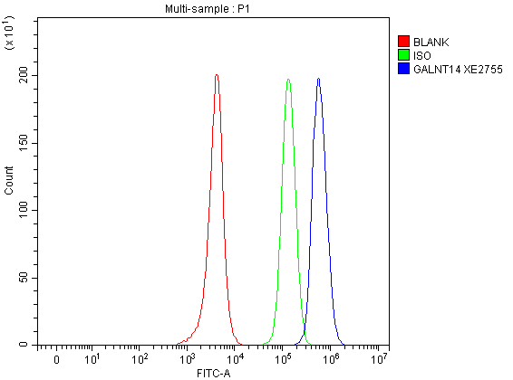 Flow Cytometry analysis of SH-SY5Y cells using anti-GALNT14 antibody (A08404-1)