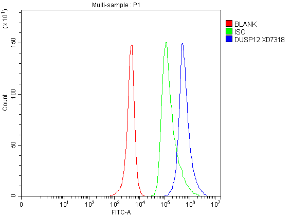 a08406 1 dusp12 primary antibodies fcm testing 1
