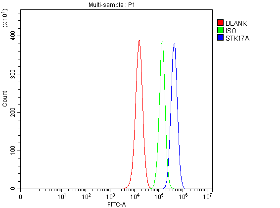  Flow Cytometry analysis of PC-3 cells using anti-STK17A antibody (A08436-1)