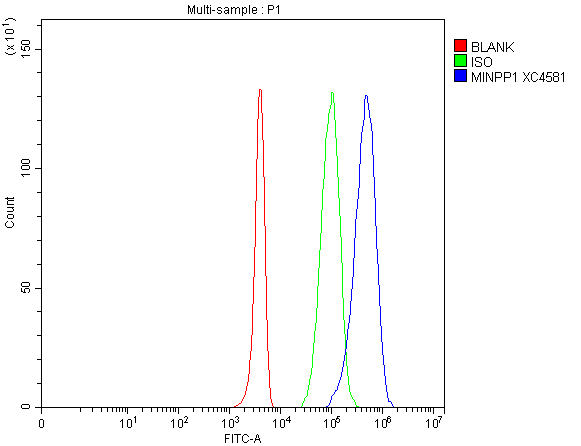 a08462 3 minpp1 primary antibodies fcm testing 4