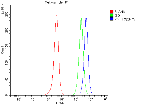 a08465 1 pmf1 primary antibodies fcm testing 1