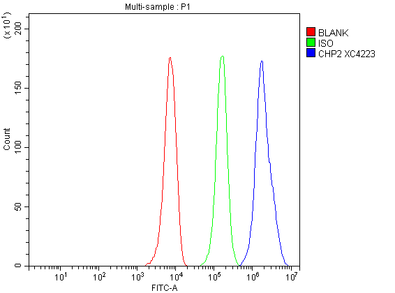  Flow Cytometry analysis of HepG2 cells using anti-CHP2 antibody (A08478-2)