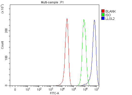  Flow Cytometry analysis of HepG2 cells using anti-LLGL2 antibody (A08503-1)