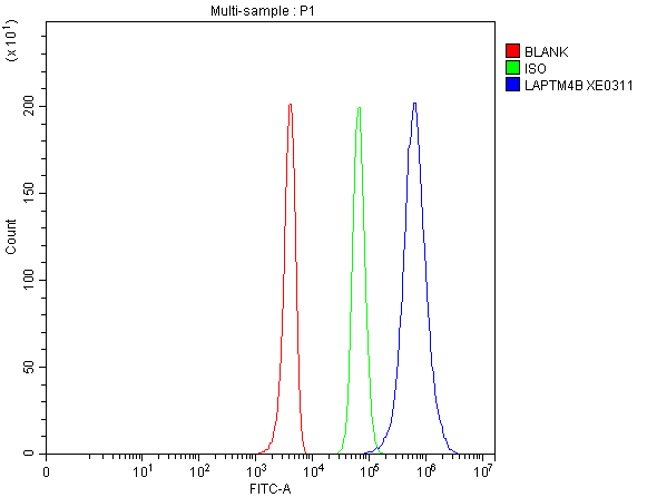 a08504 laptm4b primary antibodies fcm testing 1