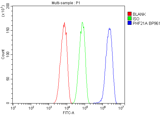 a08507 1 phf21a primary antibodies fc testing 15_1