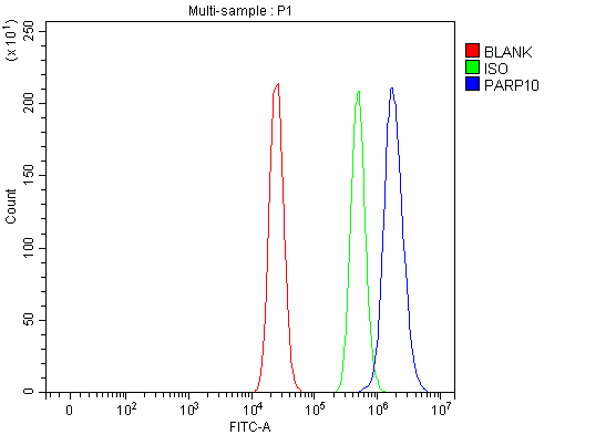  Flow Cytometry analysis of MCF-7 cells using anti-PARP10 antibody (A08514-2)
