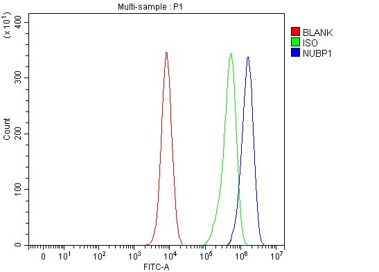 a08538 1 nubp1 primary antibodies fcm testing 3