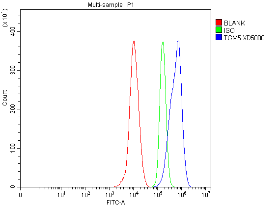 Flow Cytometry analysis of THP-1 cells using anti-TGM5 antibody (A08563-1)