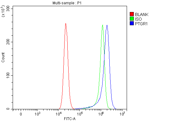  Flow Cytometry analysis of RT4 cells using anti-PTGR1 antibody (A08587-1)
