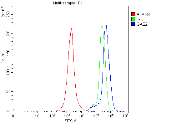 a08589 1 gas2 primary antibodies fcm testing 2_1