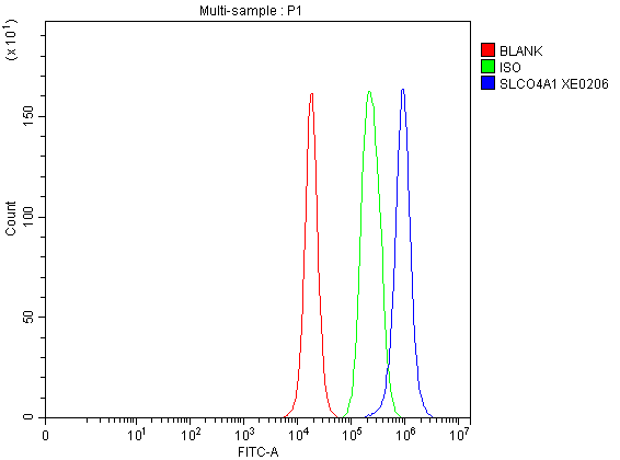 a08600 1 slco4a1 primary antibodies fcm testing 1