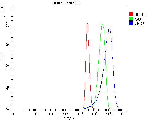 a08610 2 ybx2 primary antibodies fcm testing 4