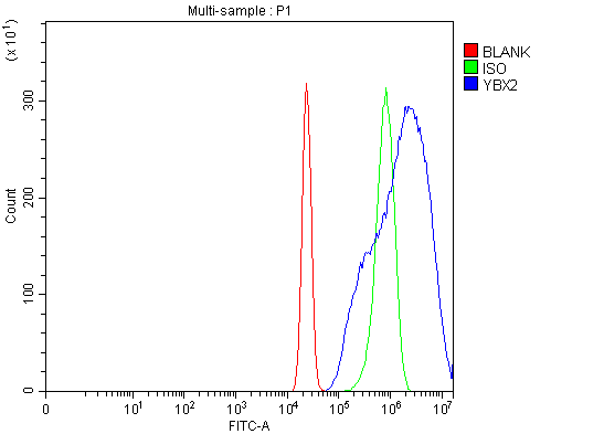 a08610 2 ybx2 primary antibodies fcm testing 5