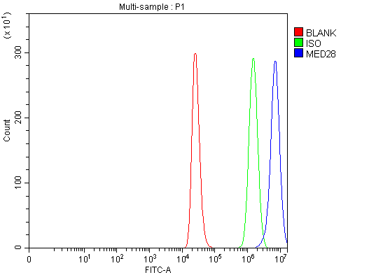  Flow Cytometry analysis of THP-1 cells using anti-MED28 antibody (A08611-2)