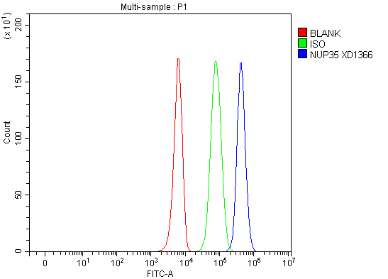 Flow Cytometry analysis of K562 cells using anti-NUP35 antibody (A08614-2)
