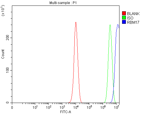  Flow Cytometry analysis of PC-3 cells using anti-RBM17 antibody (A08621-1)