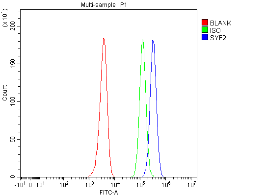 Flow Cytometry analysis of HEL cells using anti-SYF2 antibody (A08626-2)