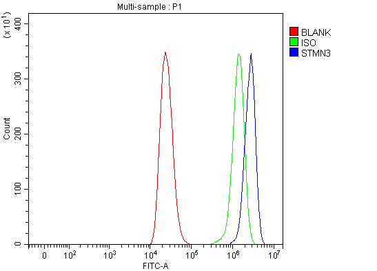  Flow Cytometry analysis of THP-1 cells using anti-STMN3 antibody (A08661-2)