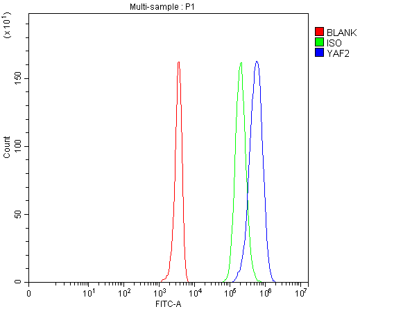a08678 1 gk primary antibodies fcm testing 1
