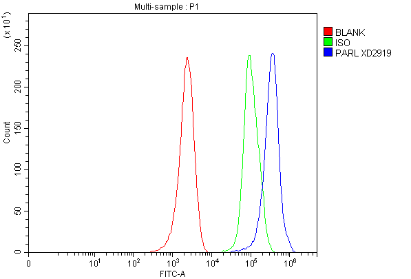 Flow Cytometry analysis of MCF-7 cells using anti-PARL antibody (A08686-1)