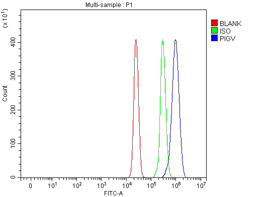 a08698 1 pigv primary antibodies fcm testing 2