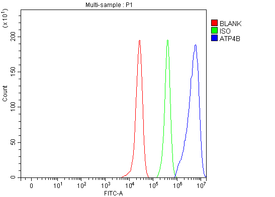 a08719 2 atp4b primary antibodies fcm testing 6