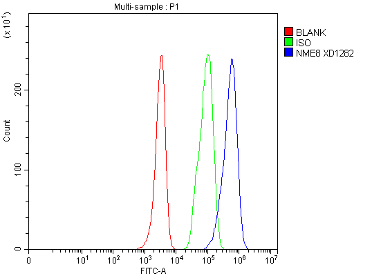 a08723 1 txndc3 nme8 primary antibodies fcm testing 2