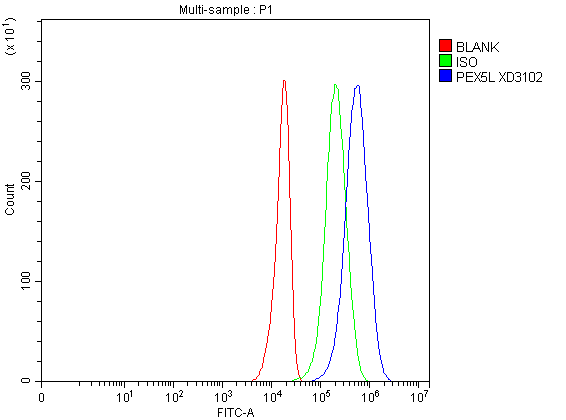 a08728 1 pex5l primary antibodies fcm testing 1