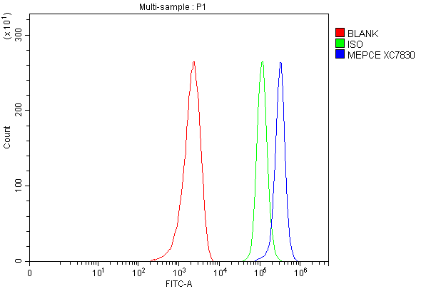 Flow Cytometry analysis of MCF-7 cells using anti-MEPCE antibody (A08738-2)