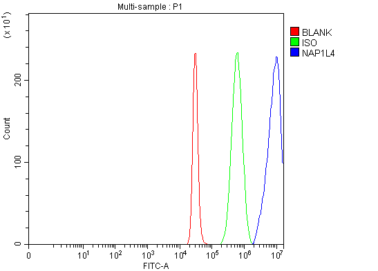  Flow Cytometry analysis of 293T cells using anti-NAP1L4 antibody (A08739-1)
