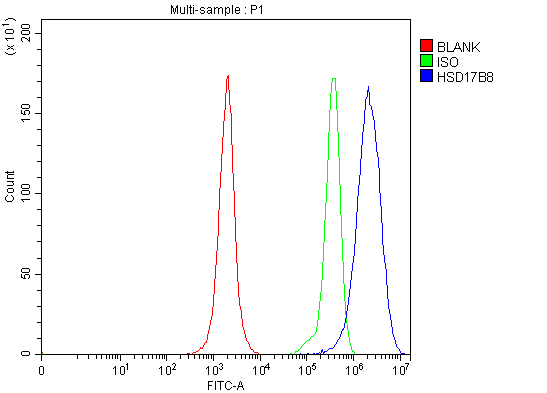  Flow Cytometry analysis of JK cells using anti-HSD17B8 antibody (A08741-1)