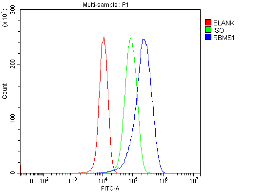 a08752 2 rbms1 primary antibodies fcm testing 12