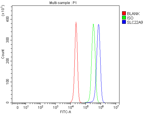  Flow Cytometry analysis of HepG2 cells using anti-SLC22A9 antibody (A08762-1)