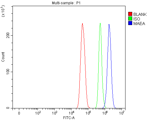  Flow Cytometry analysis of U251 cells using anti-MAEA antibody (A08766-2)
