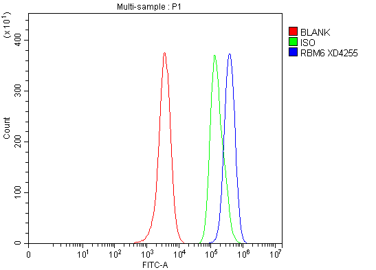 a08776 3 rbm6 primary antibodies fcm testing 1