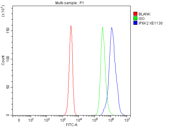 a08792 2 ip6k2 primary antibodies fcm testing 1