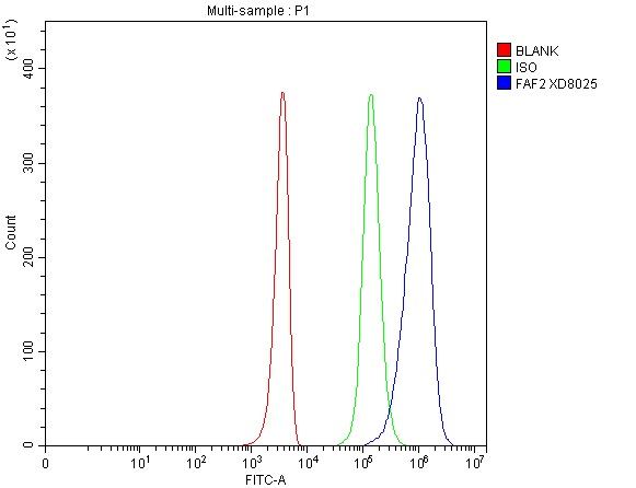 a08797 2 faf2 primary antibodies fcm testing 1