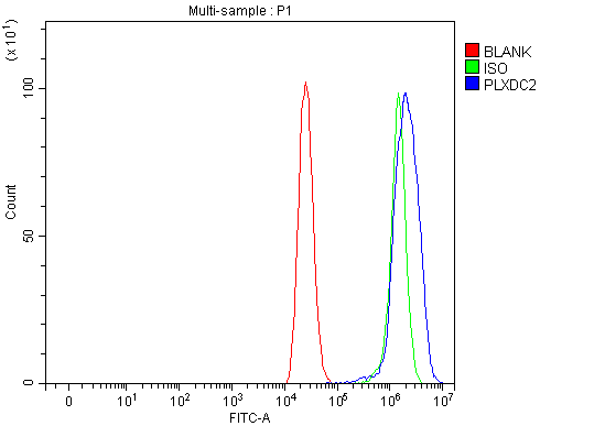 a08798 1 plxdc2 primary antibodies fcm testing 5