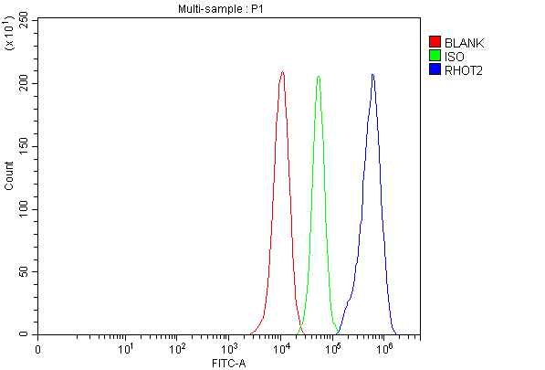 a08801 1 rhot2 primary antibodies fcm testing 9