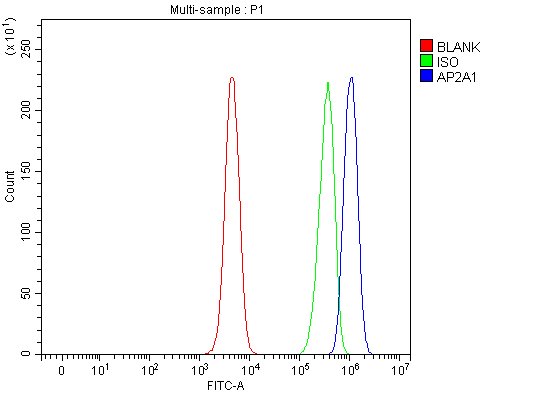 a08806 1 ap2a1 primary antibodies fcm testing 1